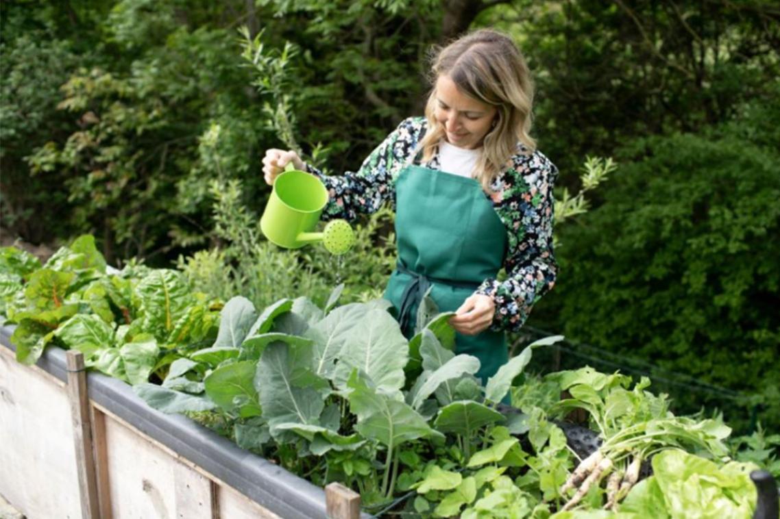 Young woman watering vegetable garden with watering can.
